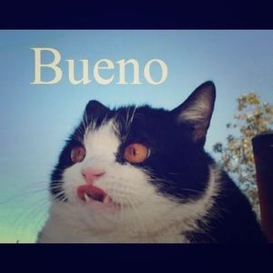 Meet your Posher, Mandy